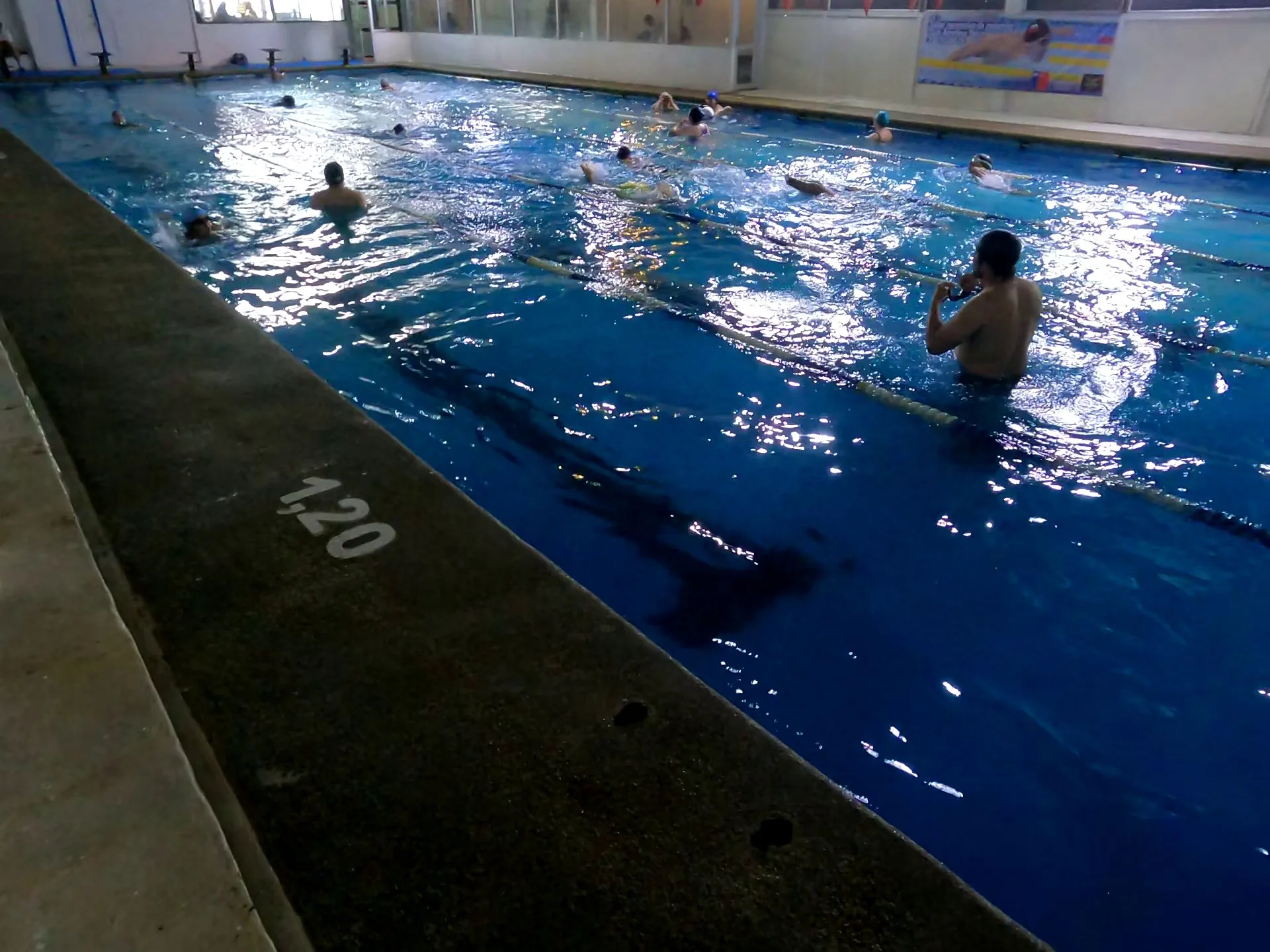 Programa nado libre o clases adulto en Piscina Atenas